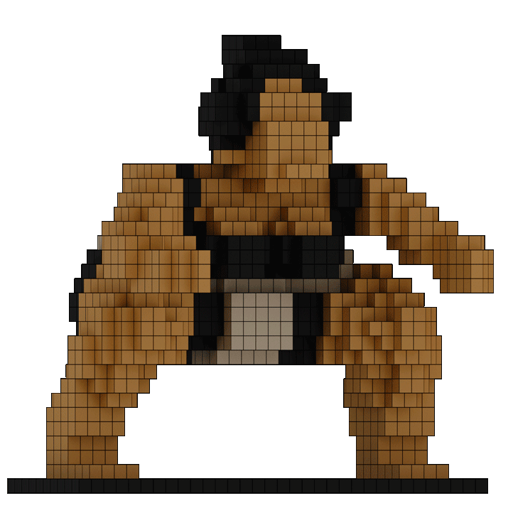 Voxel sumo figure Aiko Mass Tanaka